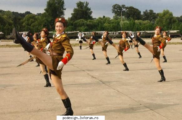 army of china

  army of china