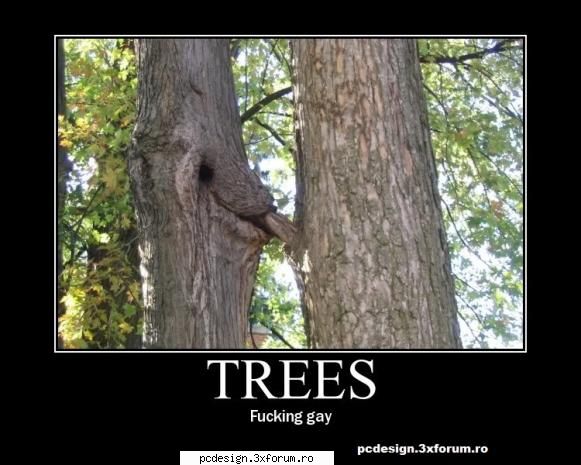 other funny pics